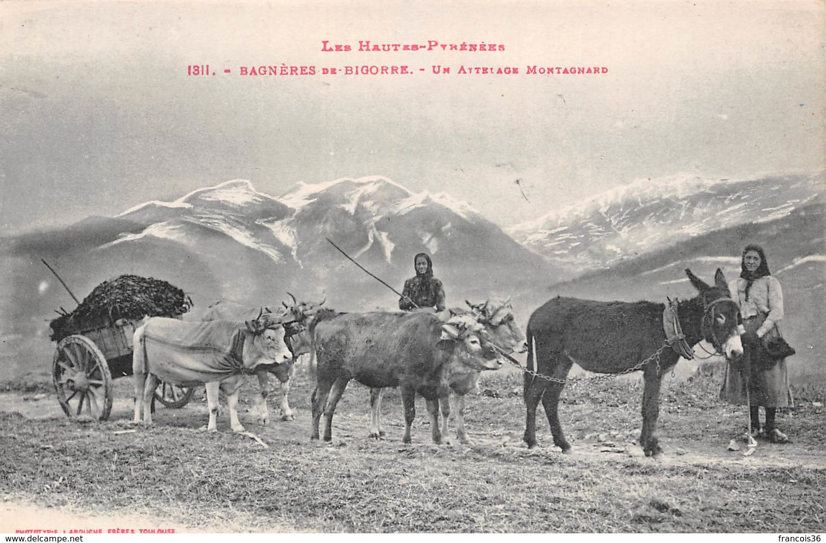 Bagnères De Bigorre (65) - Un Attelage Montagnard - âne - Bagneres De Bigorre