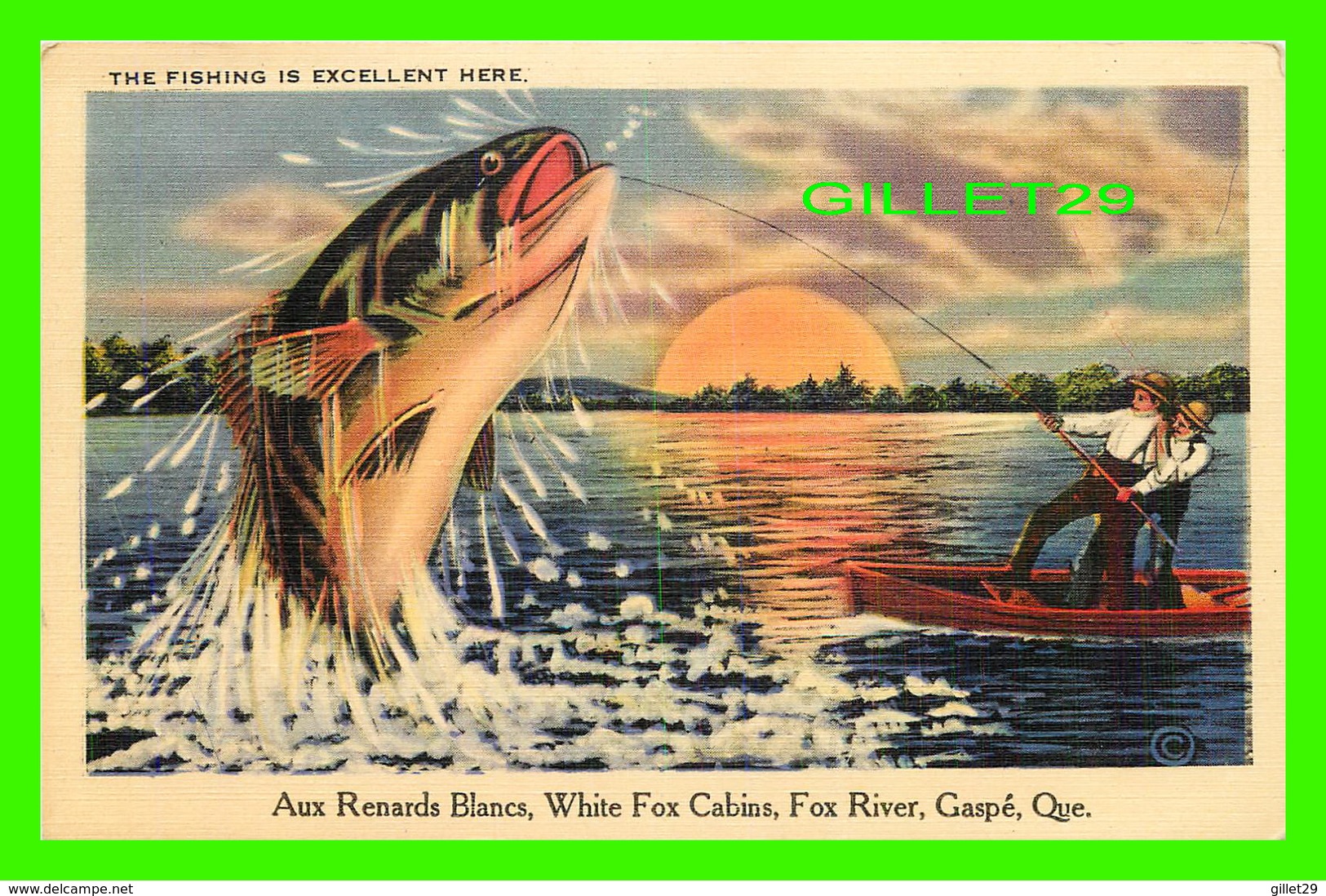 POISSONS, LA BELLE TRUITE MOUCHETÉE - AUX RENARDS BLANCS, WHITE FOX CABINS, FOX RIVER, GASPÉ - - Poissons Et Crustacés