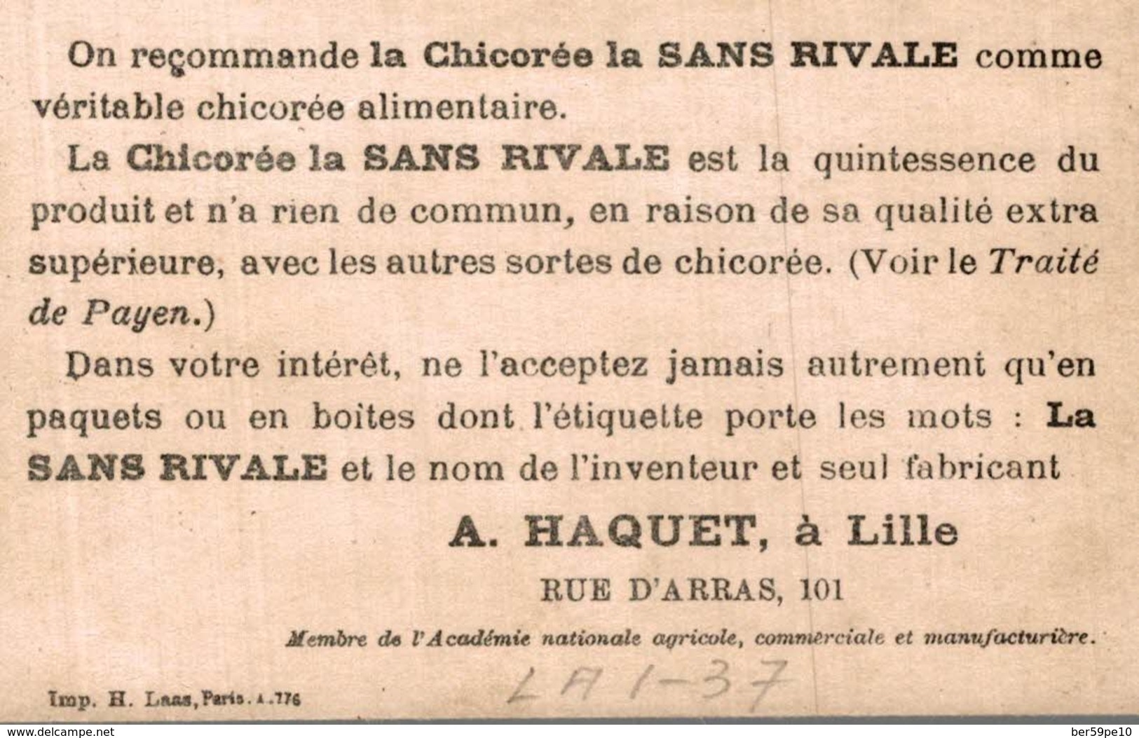 CHROMO LA CHICOREE LA SANS RIVALE A. HAQUET LILLE  Mme  GRANIER - Autres & Non Classés