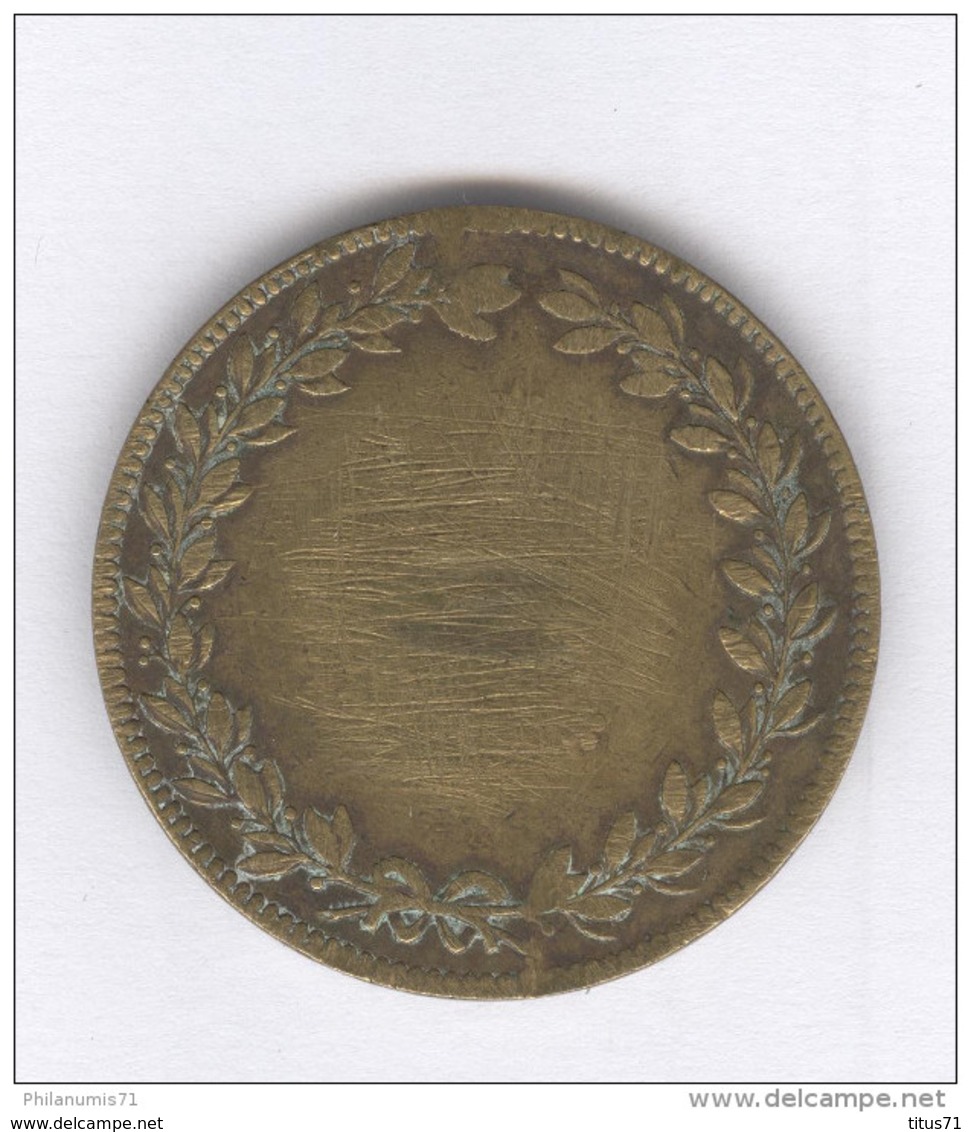 Médaille Carolus IIII Dei Gracias 1805 - 38 Mm - Bronze - Adel