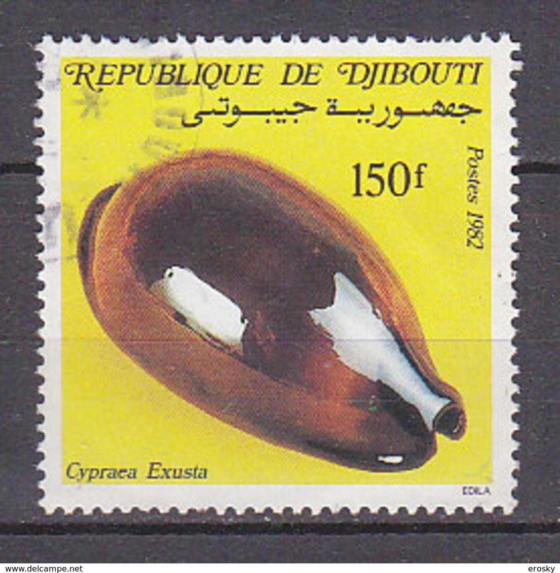 B0094 - DJIBOUTI Yv N°562 COQUILLAGE - Djibouti (1977-...)