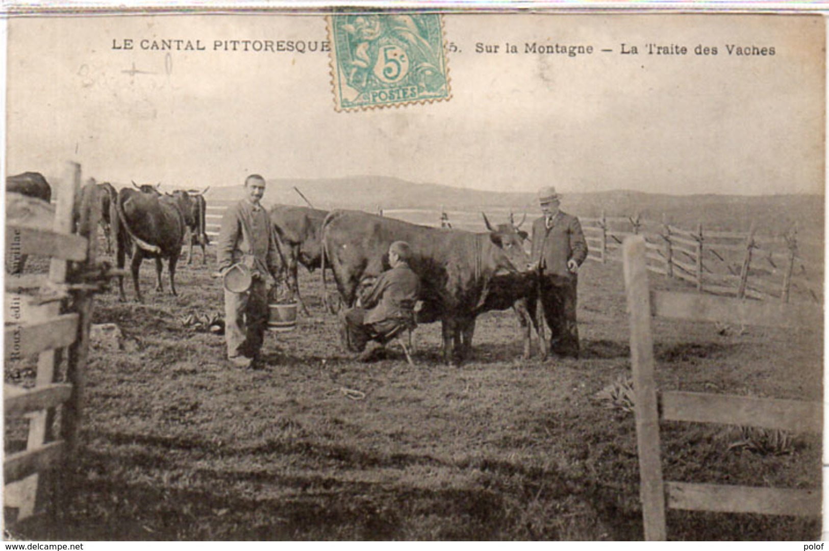 Le Cantal Pittoresque - Sur La Montagne - La Traite Des Vaches   (110049) - Autres & Non Classés