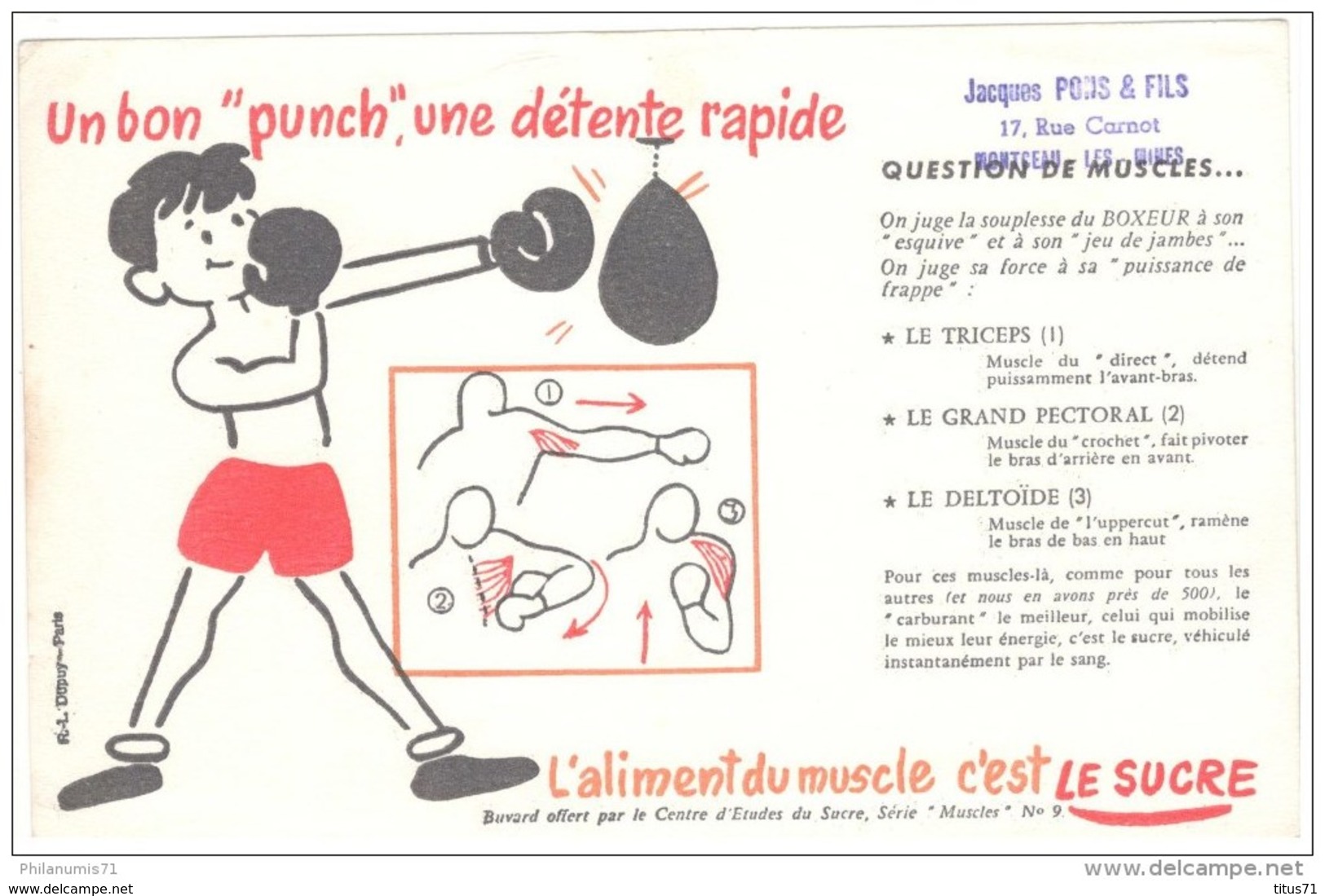 Buvard Le Sucre Aliment Du Muscle - Un Bon Punch, Une Détente Rapide - Tampon Pons à Montceau - Bon état - Süssigkeiten & Kuchen