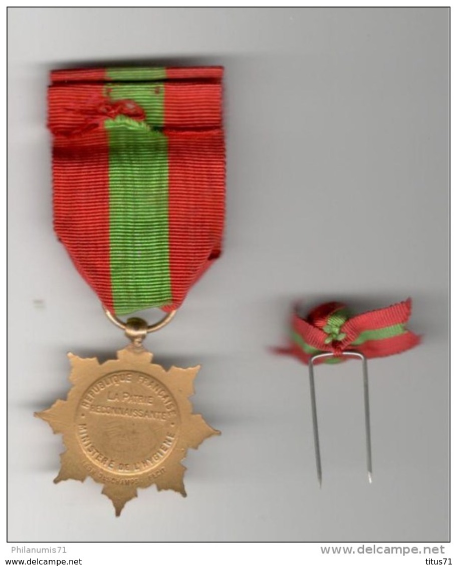 Médaille D'Honneur De La  Famille Française ( Version OR, Au Moins 10 Enfants ) + Réduction - Autres & Non Classés