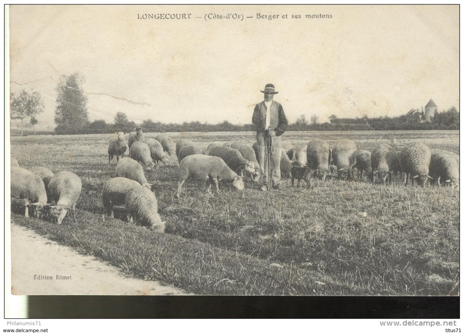 CPA Longecourt - Berger Et Ses Moutons - Circulée 1909 - Autres & Non Classés