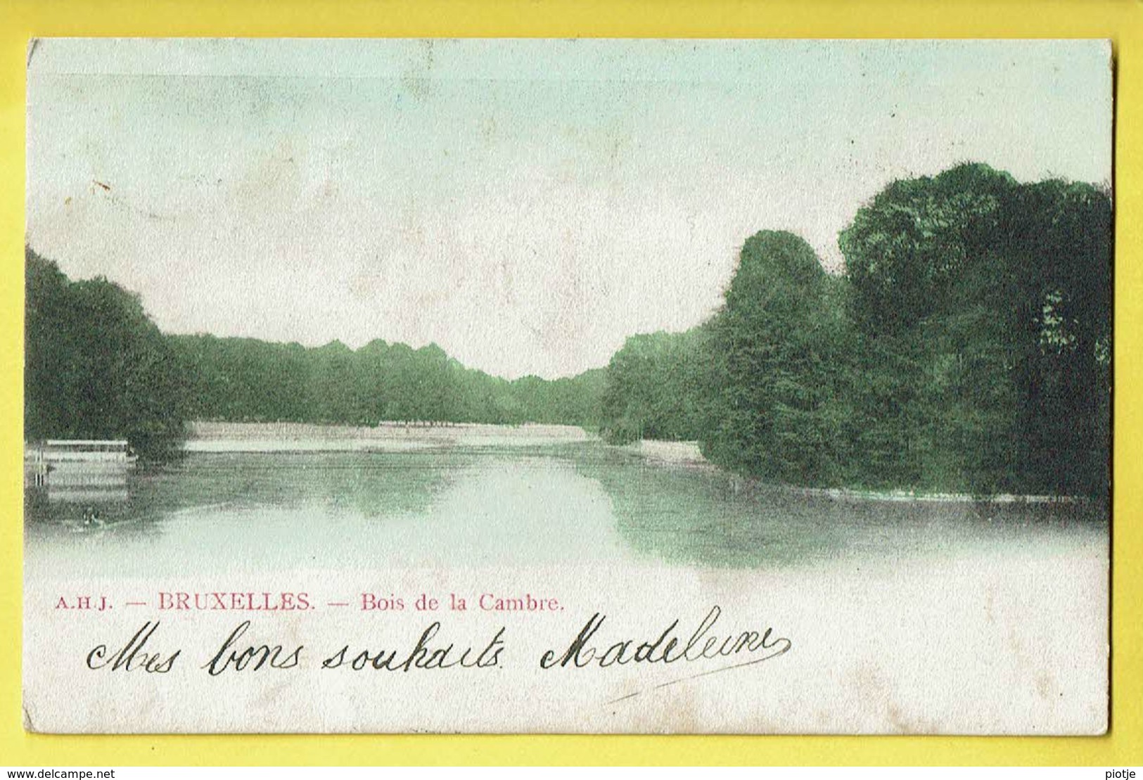 * Brussel - Bruxelles - Brussels * (A.H.J.) Bois De La Cambre, Ter Kameren Bos, étang, Vijver, Lac, Parc, Couleur, TOP - Brussel (Stad)