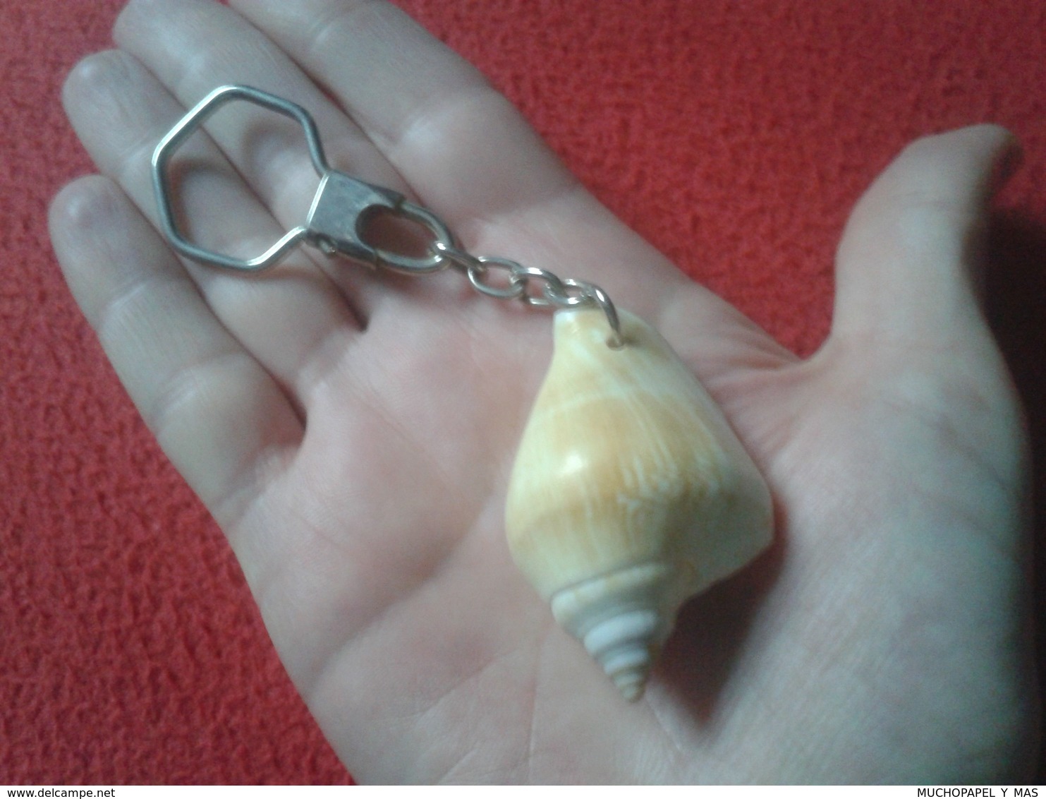 ANTIGUO LLAVERO OLD KEYRING PORTE-CLÉS KEYCHAIN CARACOLA CONCHA MARINA SHELL CONCH MARINE SEASHELL DE MAR SEA VER FOTO/S - Otros & Sin Clasificación