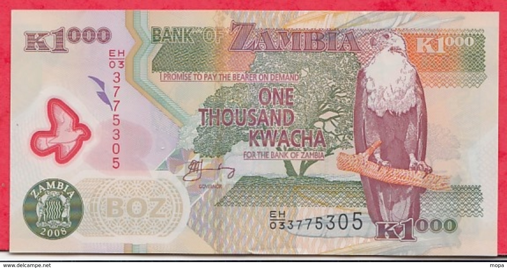 Zambie 1000 Kwacha 2008 Bon état - Zambie