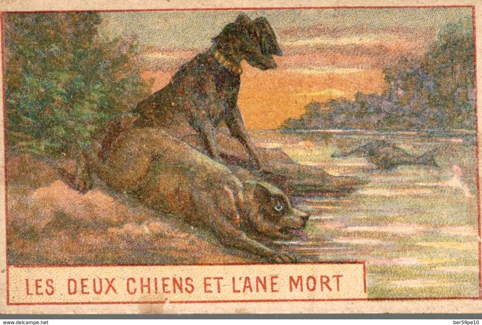 CHROMO MOKA & CHICOREES EXTRA  J. LERVILLES BOUCHAIN   LES DEUX CHIENS ET L'ANE MORT - Duroyon & Ramette