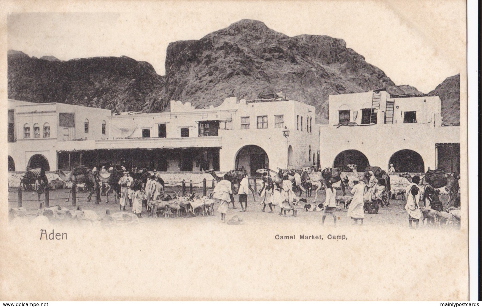 AO52 Aden, Camel Market, Camp - Animated, Undivided Back Postcard - Yemen