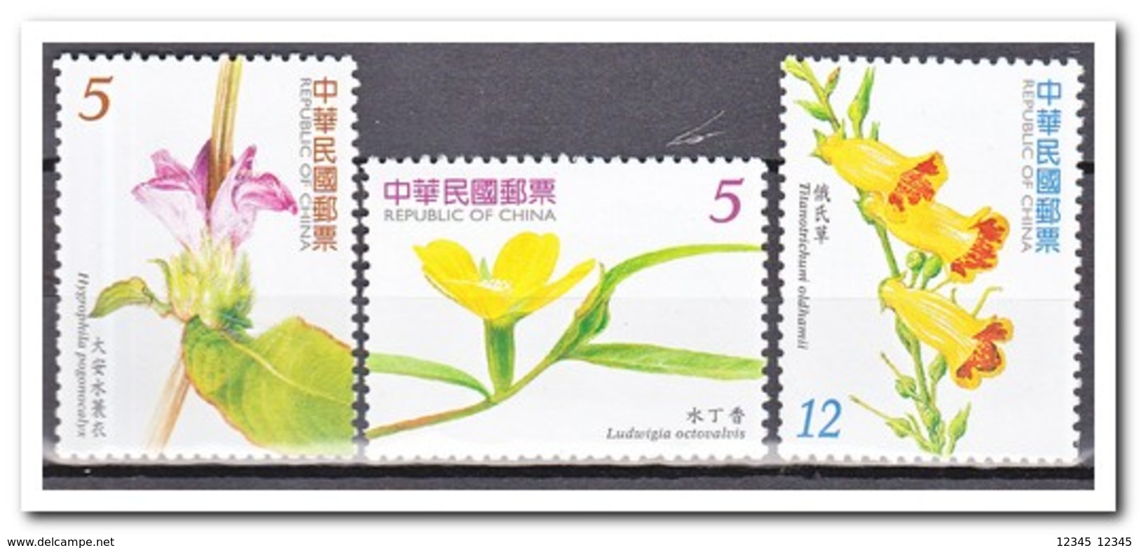 Taiwan 2006, Postfris MNH, Flowers - Ongebruikt