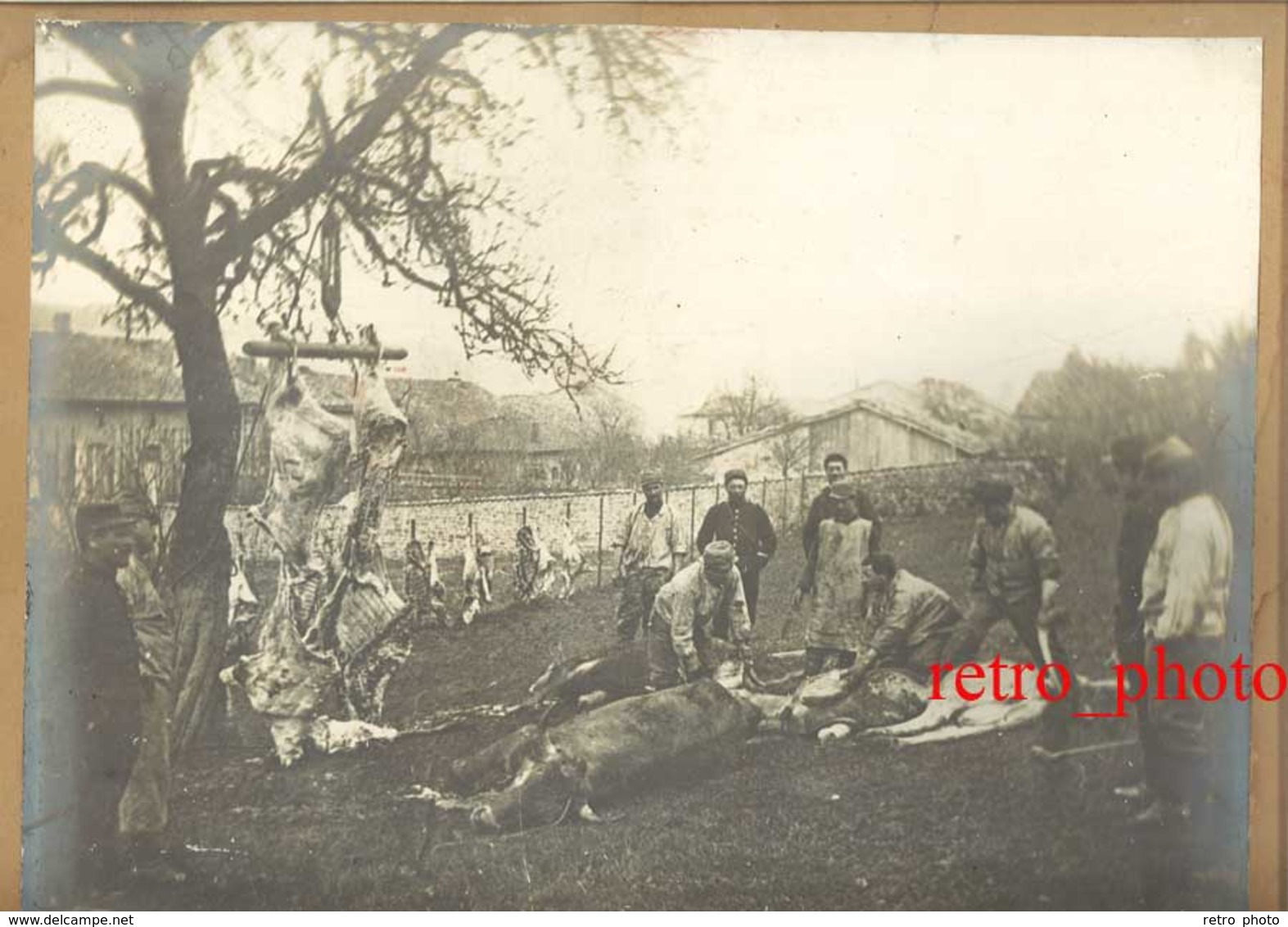 Très Grand Photo Sur Carton : Militaire / Soldats : Boucherie De Campagne - Guerre, Militaire