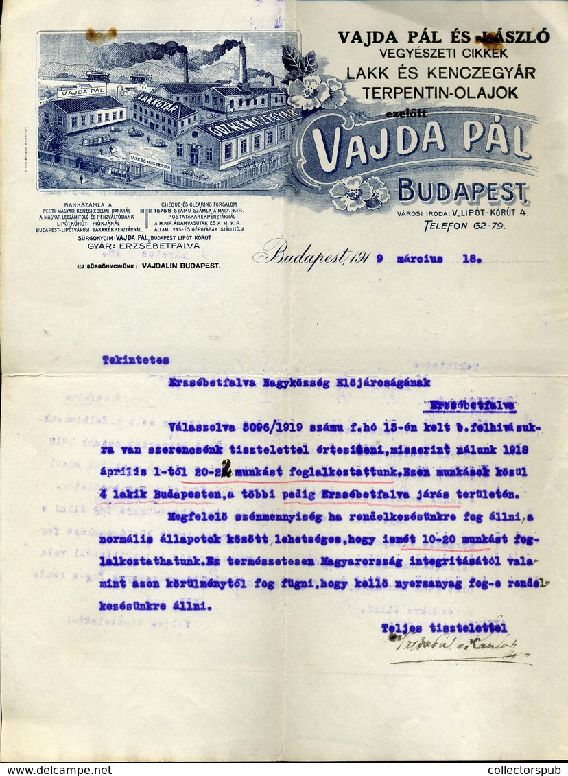 Vajyda Pál Vegyészeti Cikkek, Céges, Fejléces Levél , Budapest 1919. (Tanácsköztársaság, érdekes Tartalom) - Unclassified