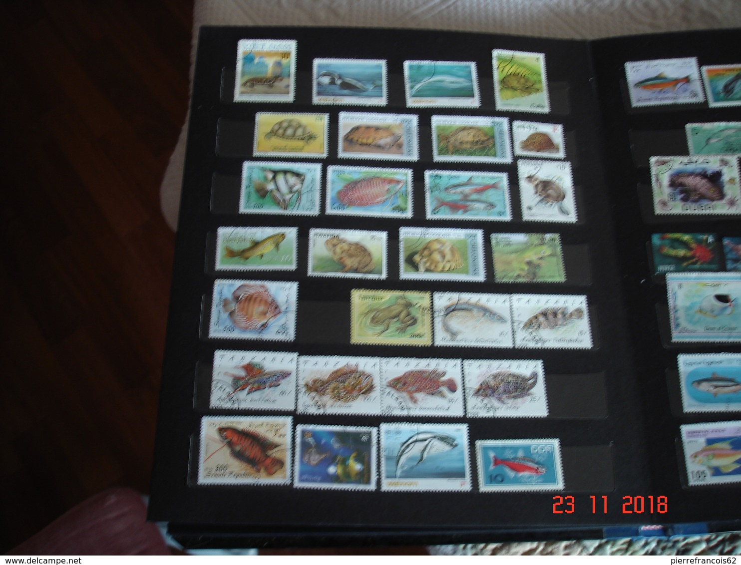 ALBUM CONTENANT COLLECTION DE TIMBRES ET BLOCS FEUILLETS SUR LES ANIMAUX DES FLEUVES  MERS ET OCEANS - Verzamelingen (in Albums)