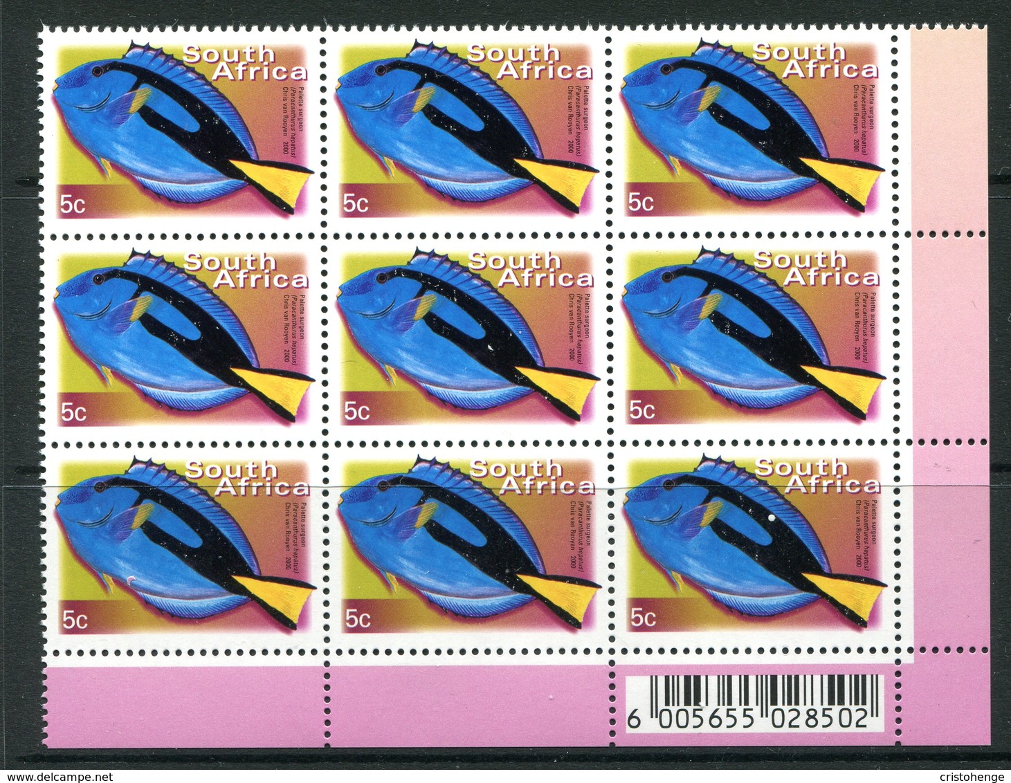 South Africa 2001-10 Flora & Fauna - Cartor Print - 5c Palette Surgeonfish - Block Of 9 MNH (SG 1269) - Neufs