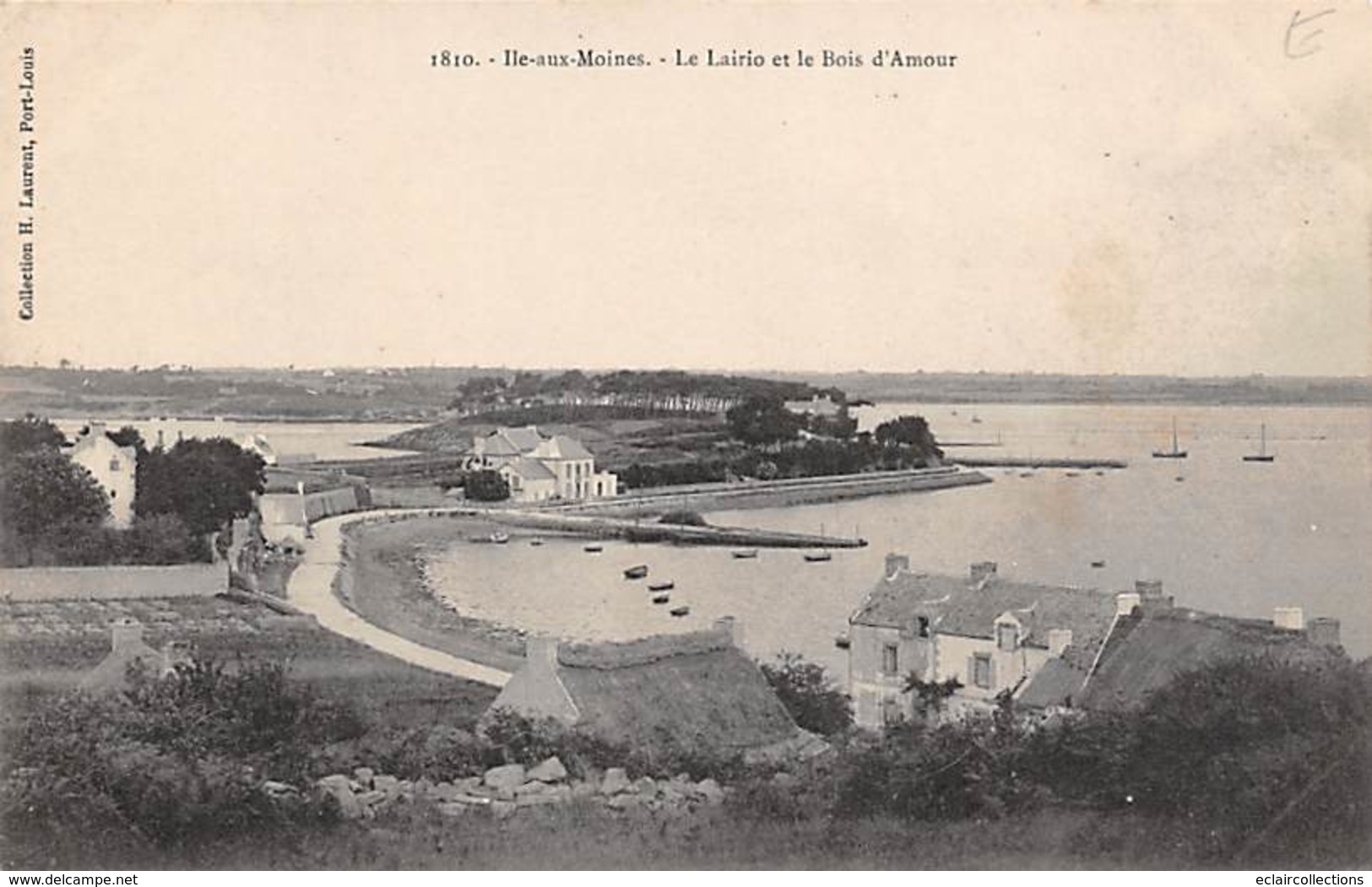 Ile Aux Moines     56        Le Lairio Et Le Bois D'Amour          (voir Scan) - Ile Aux Moines