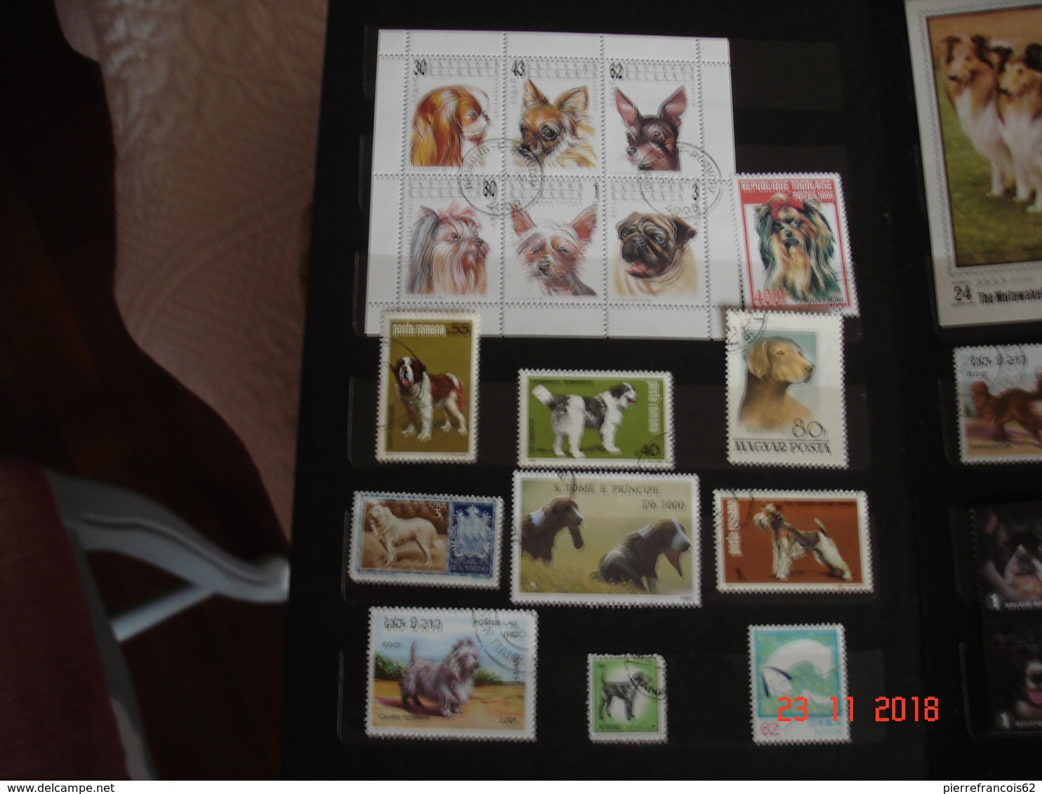 PETIT ALBUM RENFERMANT UNE COLLECTION DE TIMBRES SUR LES CHIENS - Collections (en Albums)