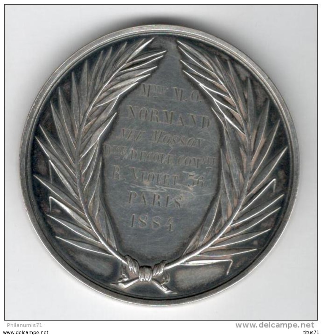 Médaille Enseignement Primaire - Ecole Communale 36 Rue Violet  Paris - Argent - Attribuée 1884 - Professionals / Firms