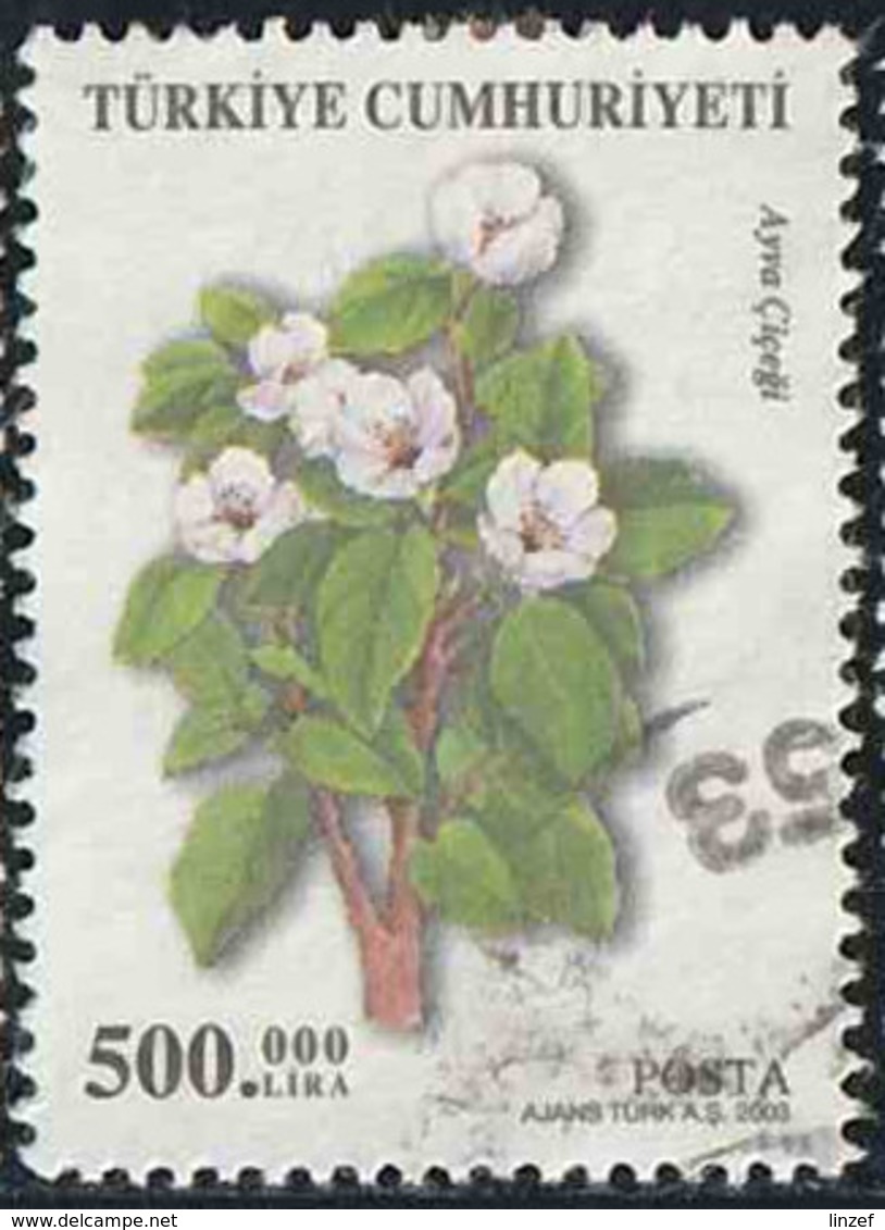 Turquie 2003 Yv. N°3077 - Cydonia Oblonga - Oblitéré - Gebraucht