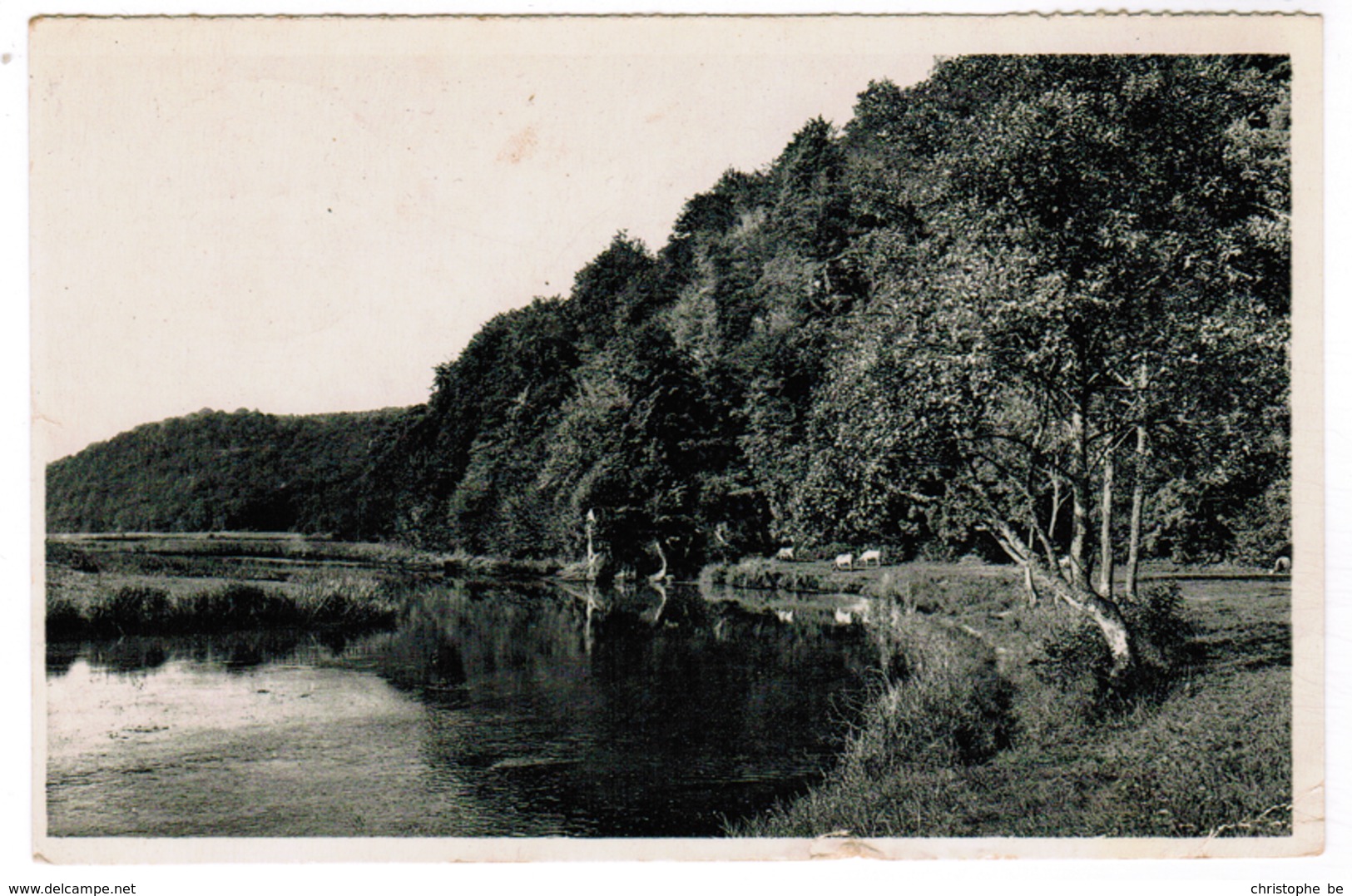 Dohan Sur Semois, La Roche Perchée  (pk48996) - Bouillon