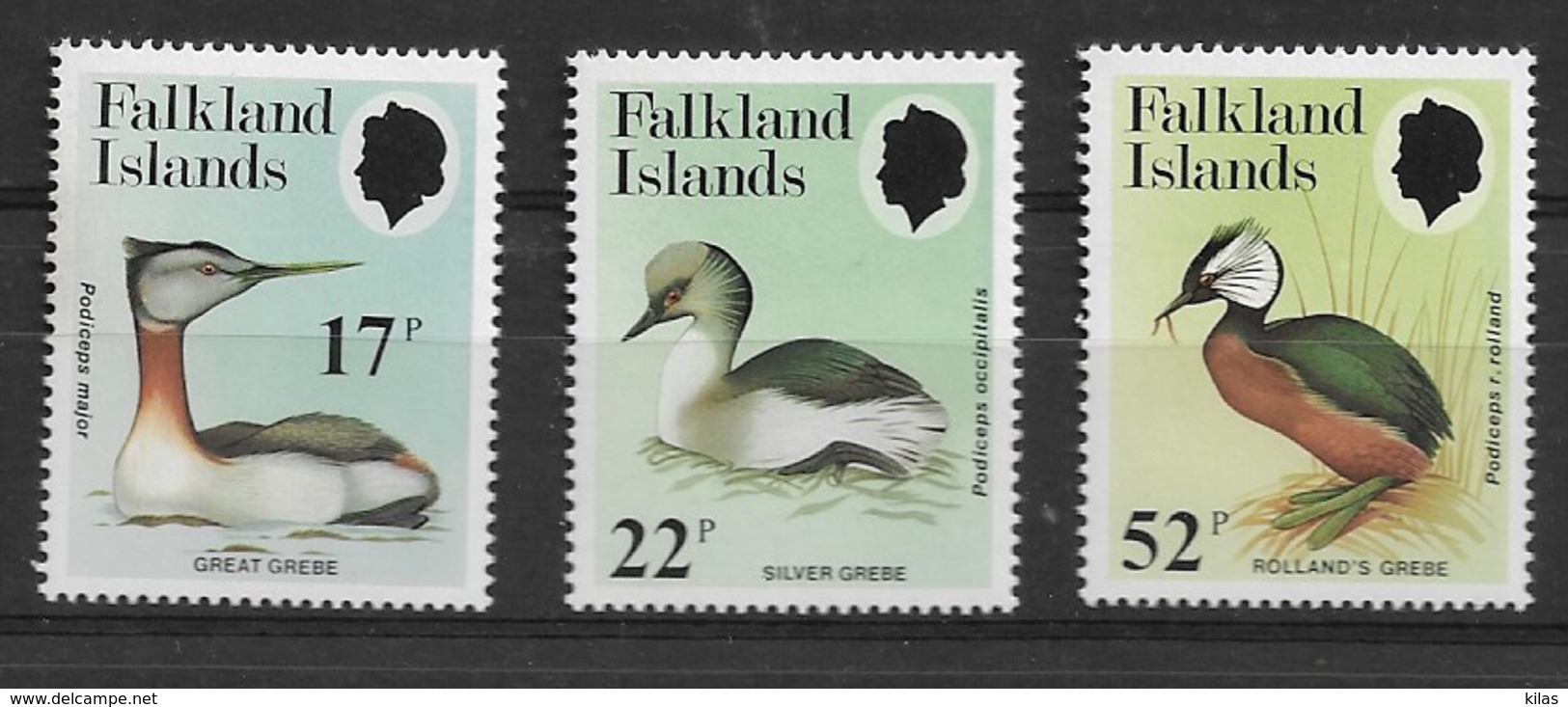 FALKLAND ISLANDS 1984  Bird, Gossander - Albatros