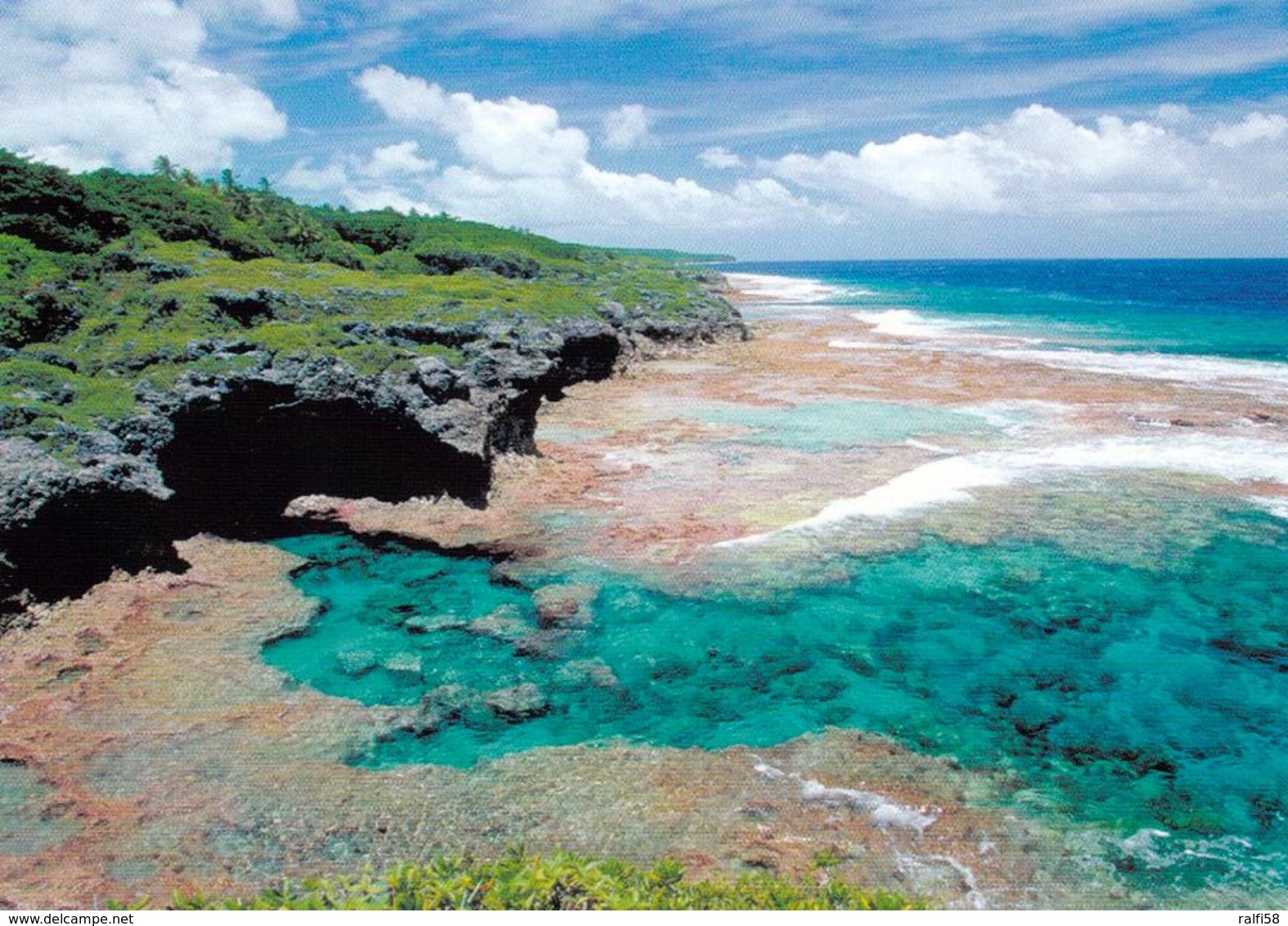 1 AK Von Niue * Küstenlandschaft Der Insel Niue - Eines Der Größten Gehobenen Atolle Der Welt * Pacific Island * - Sonstige & Ohne Zuordnung