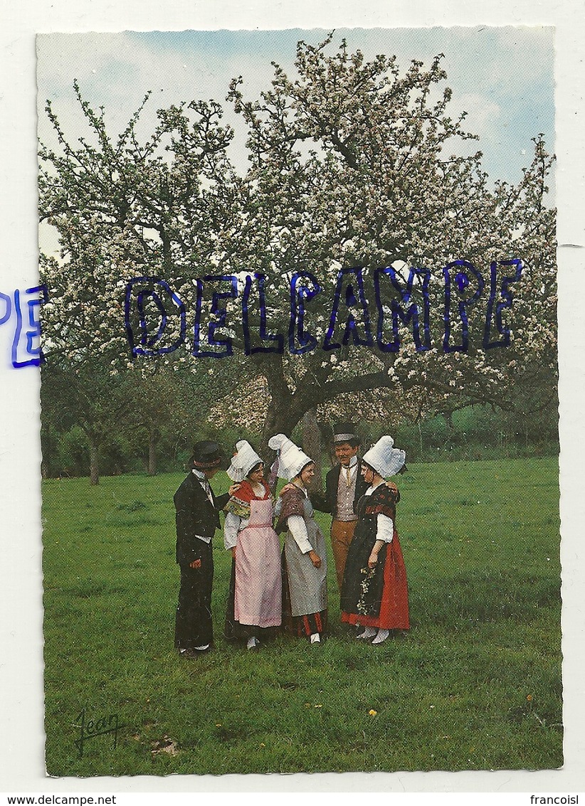 France. Calvados.La Normandie. Groupe Folklorique De L'Assemblée Des Vieux. Lisieux En Costumes 1860. Pommiers En Fleurs - Costumes