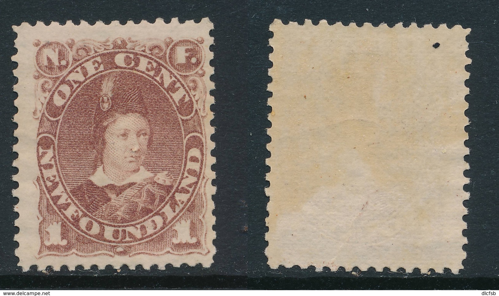 NEWFOUNDLAND, 1880 1c Red-brown Very Fine MM, SG44b, Cat £55 - 1865-1902