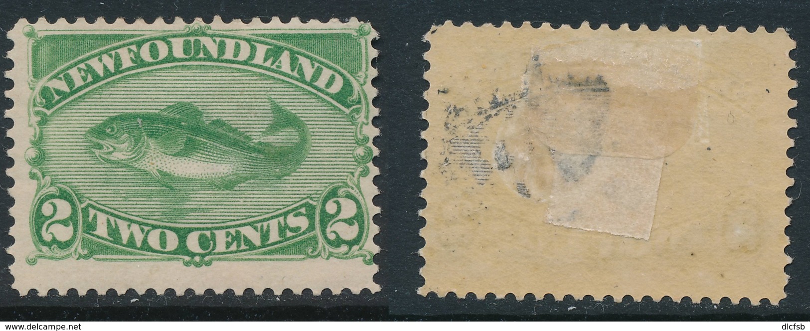 NEWFOUNDLAND, 1880 2c Yellow-green Very Fine MM, SG46, Cat £60 - 1865-1902