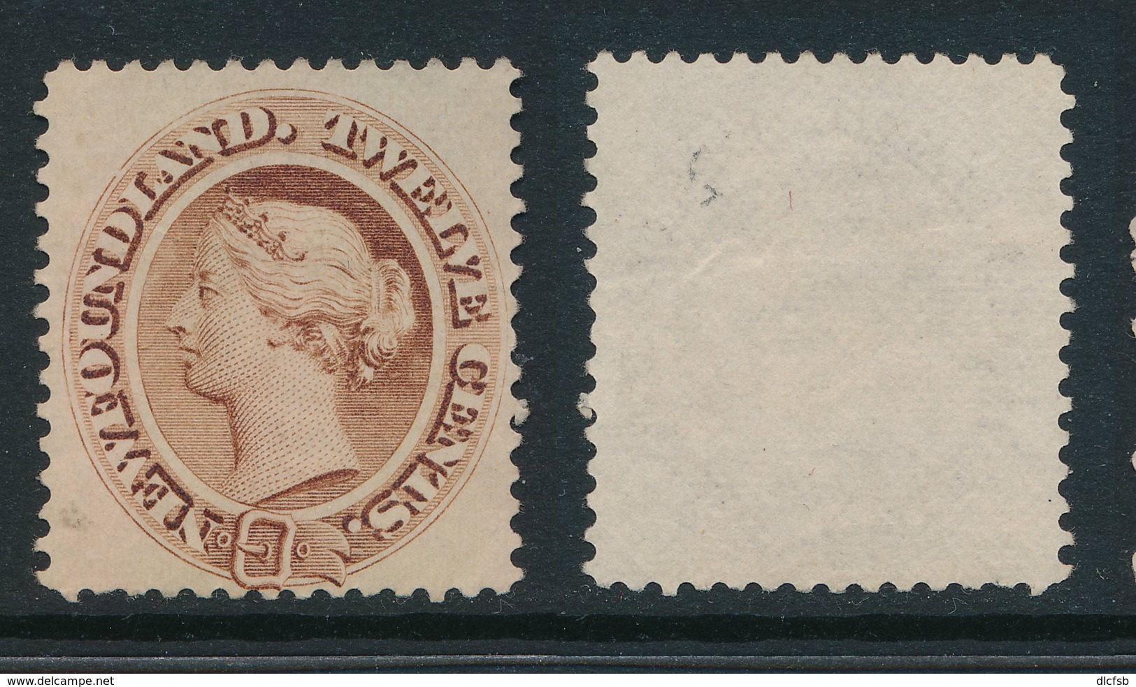 NEWFOUNDLAND, 1896 12c Chocolate-brown Fine, Unused No Gum, SG65a, Cat £120 - 1865-1902