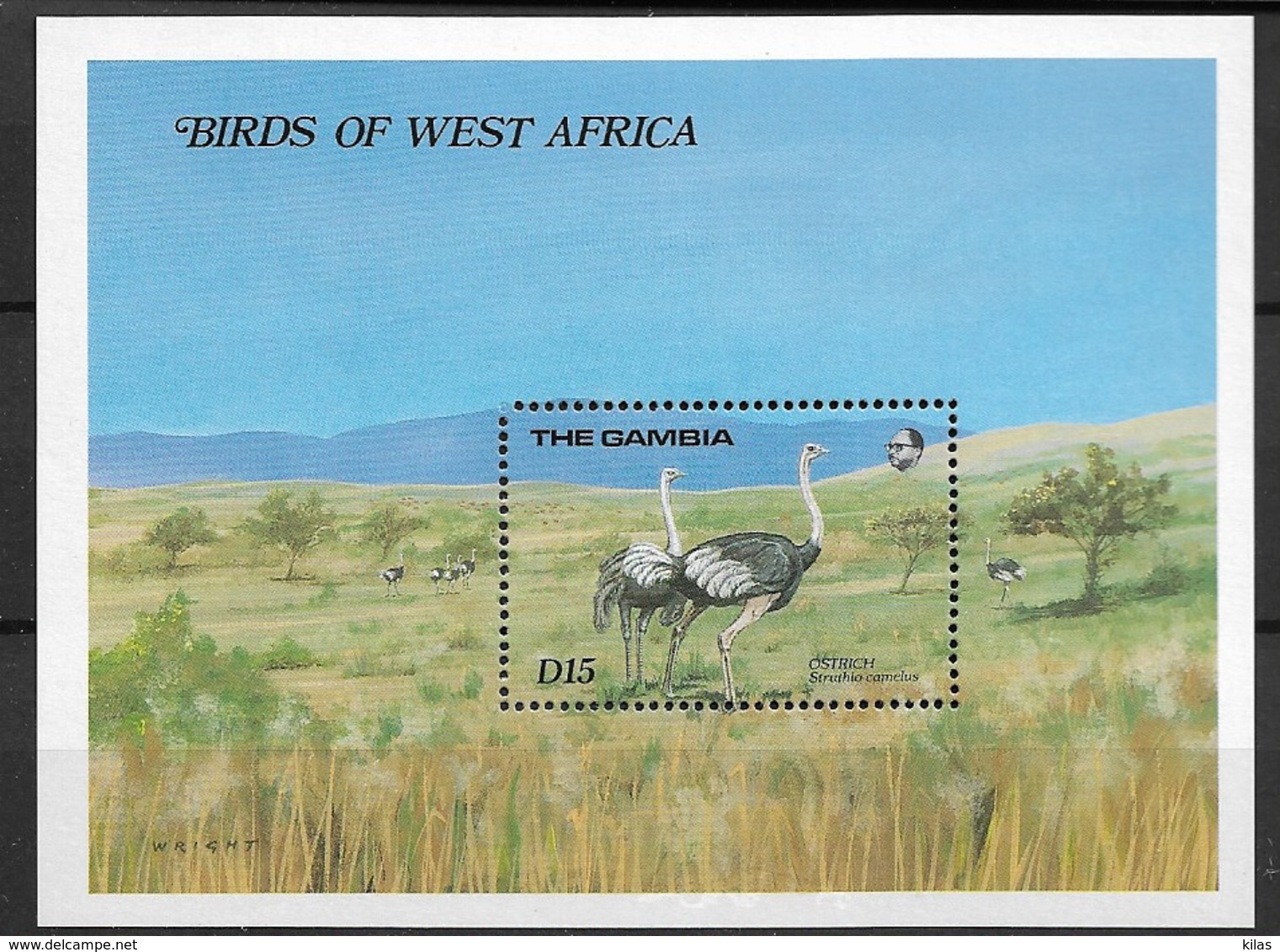 GAMBIA 1985 Birds, Ostriches - Struisvogels