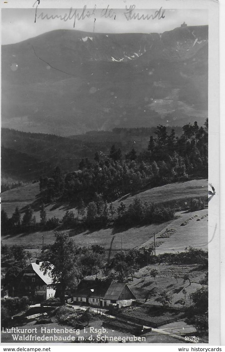 AK 0085  Hartenberg ( Riesengebirge ) - Waldfriedenbaude Mit Den Schneegruben Um 1930-40 - Schlesien