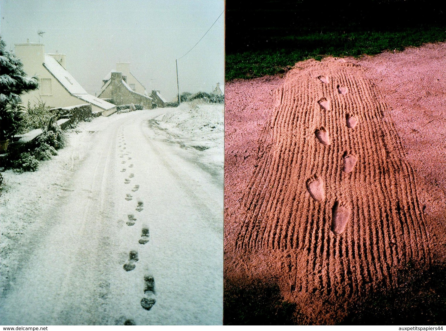 2 Photos Couleurs Originales Empreintes Estivales Ou Hivernales Même Combat ! - Lieux