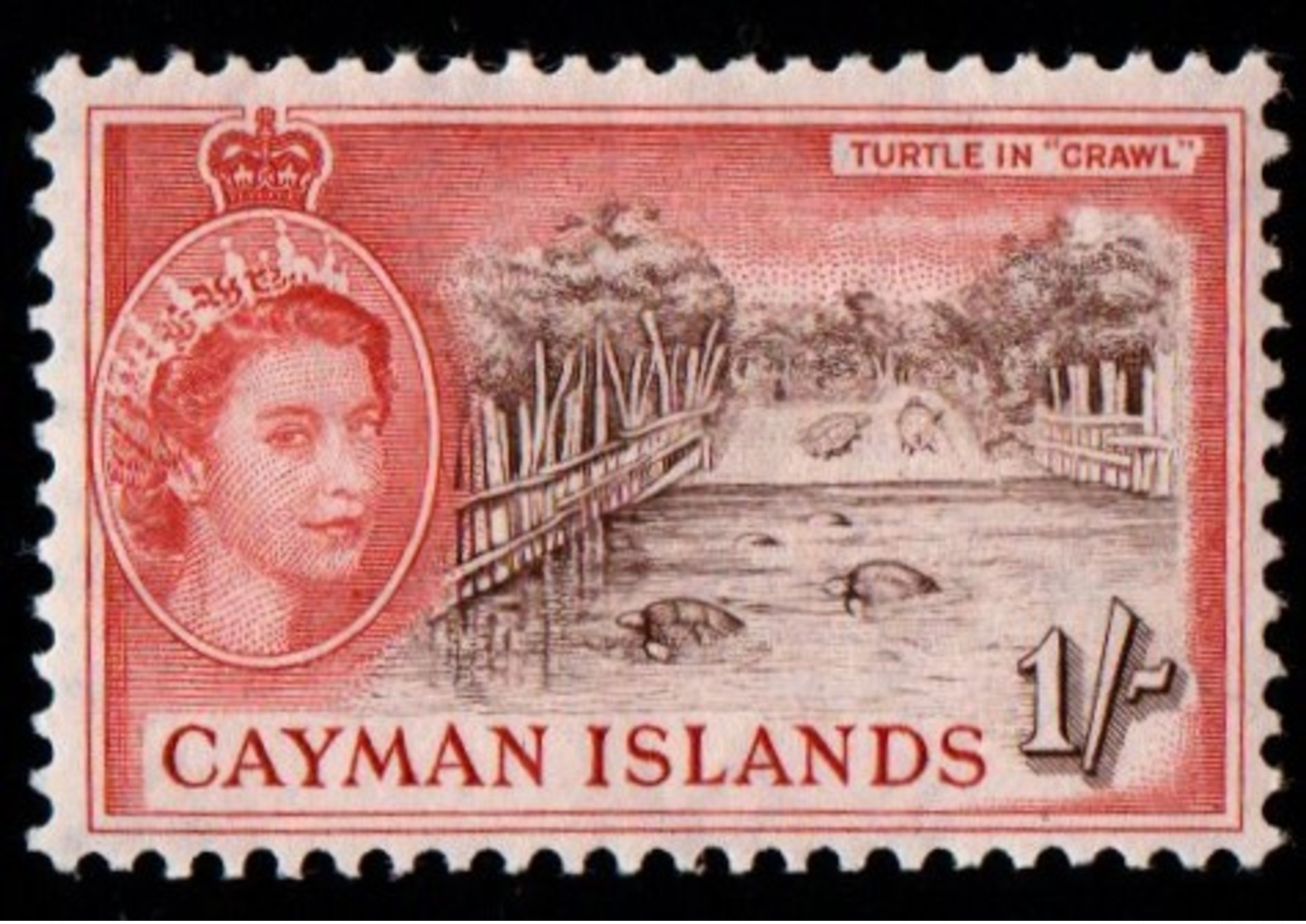 Cayman Islands. 1953 -1959 Queen Elizabeth II & Local Motives. 1Sh. MLH - Iles Caïmans