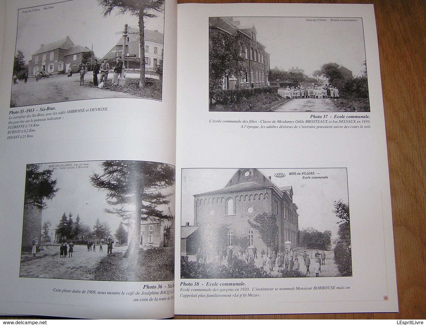 L' ENTITE DE PROFONDEVILLE Régionalisme Meuse Tram Vicinal Lustin Tailfer Carrière Arbre Bois de Villers Lesve Rivière