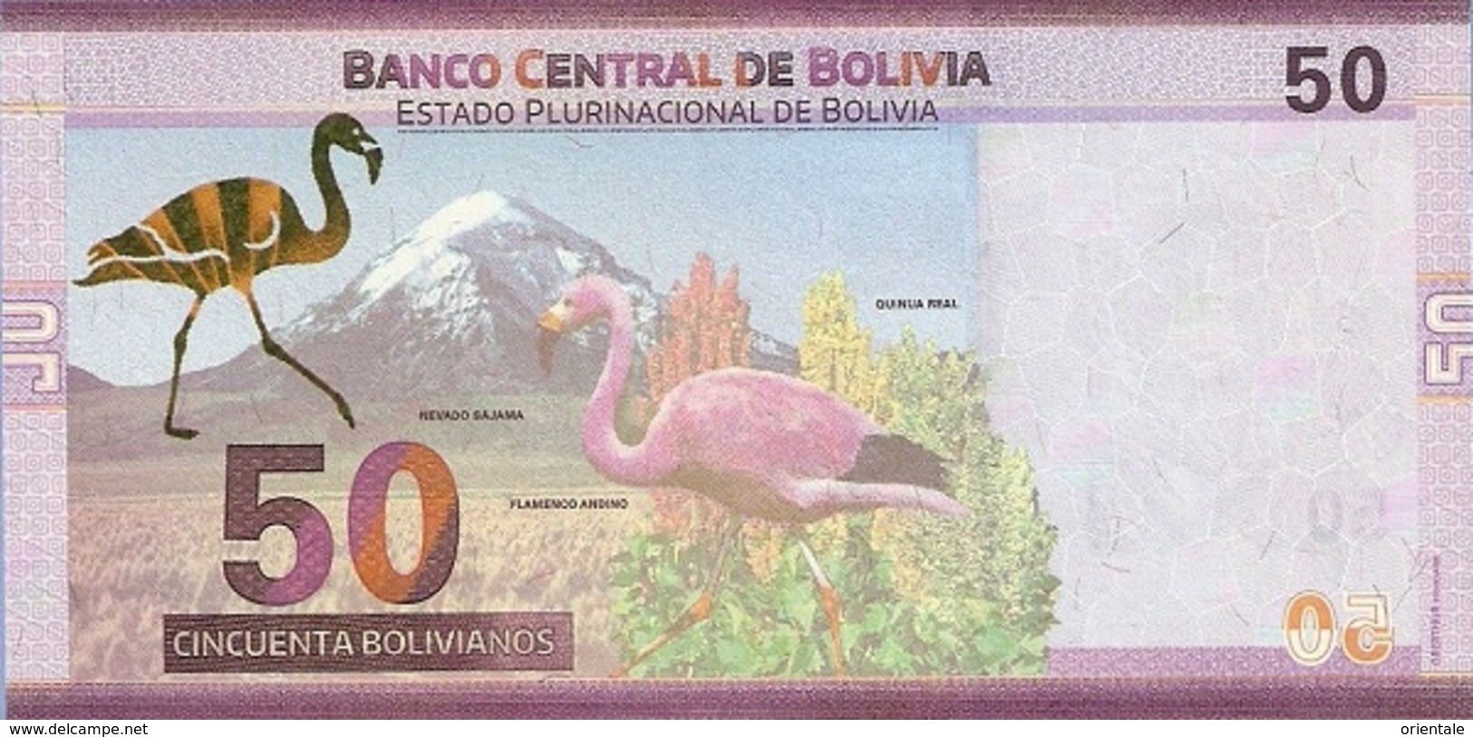 BOLIVIA P. NEW 50 R 2018 UNC - Bolivie