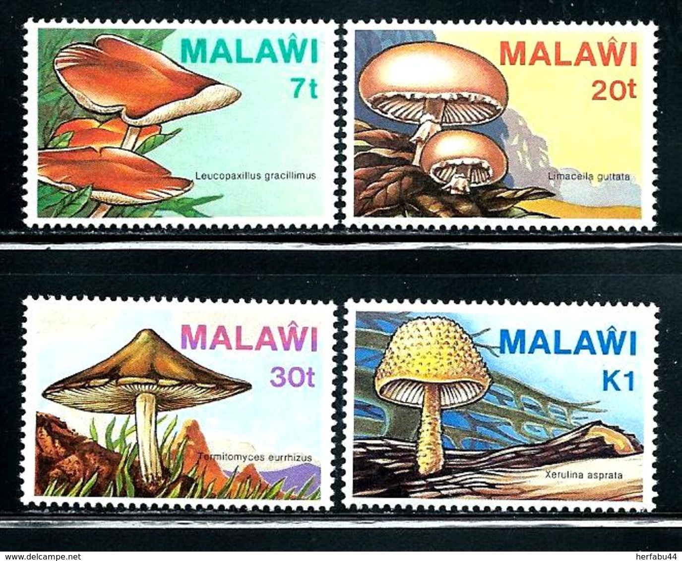 Malawi     "Fungi"         Set       SC# 458-61     MNH - Malawi (1964-...)