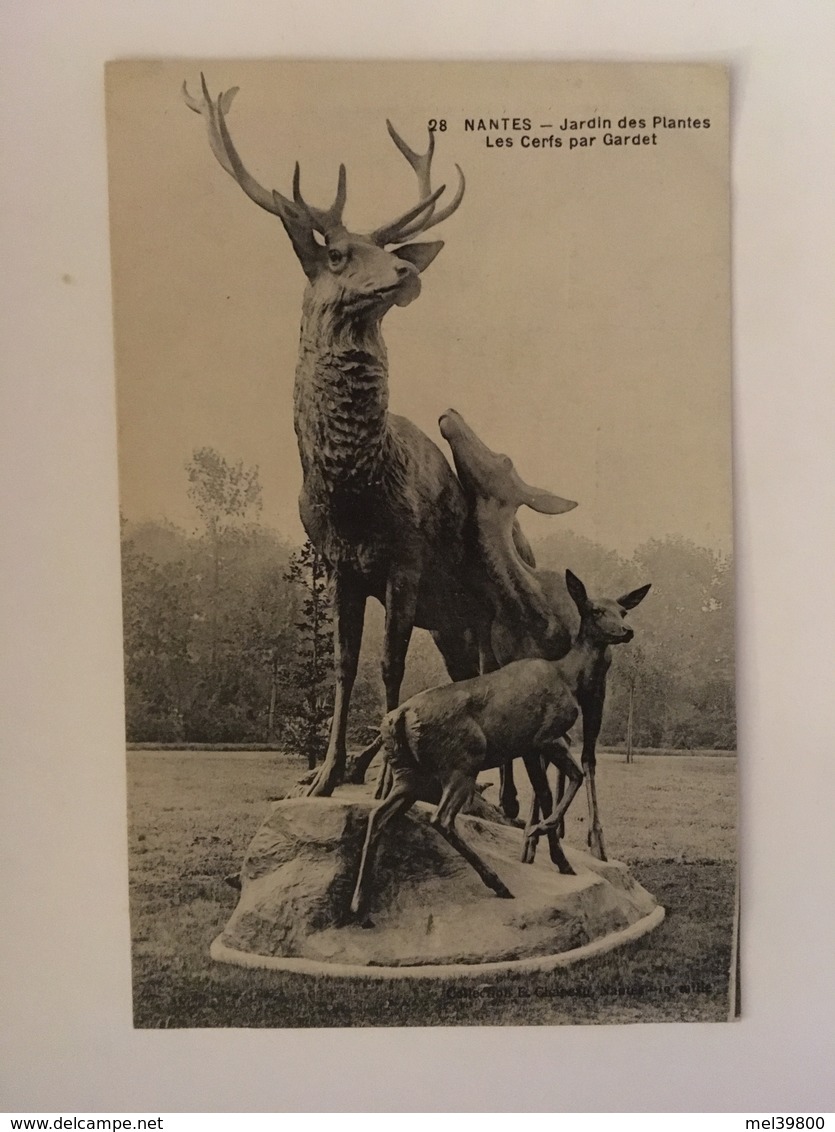 Nantes - Jardin Des Plantes - Les Cerfs Par Gardet - Nantes