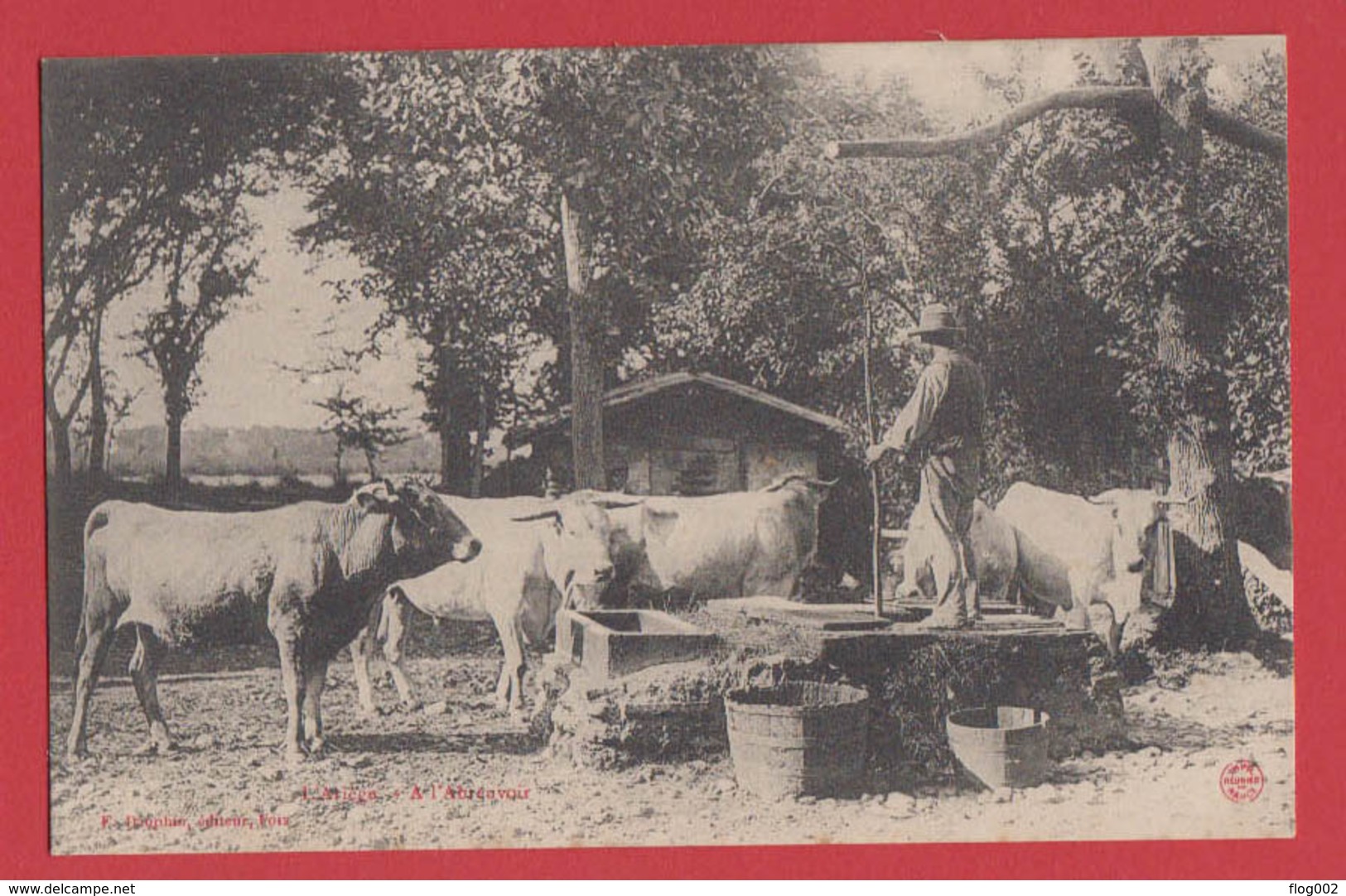 Lot De 2 Cpa Série " L' Ariège " : A L'abreuvoir Et Attelage De Boeufs , Dauphin à Foix - Autres & Non Classés