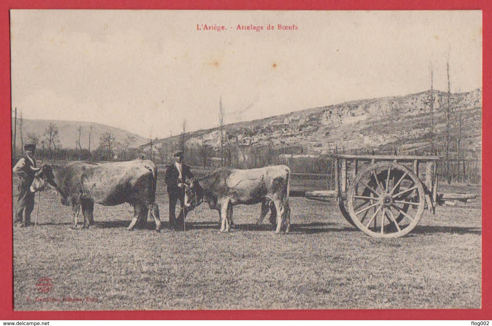 Lot De 2 Cpa Série " L' Ariège " : A L'abreuvoir Et Attelage De Boeufs , Dauphin à Foix - Autres & Non Classés