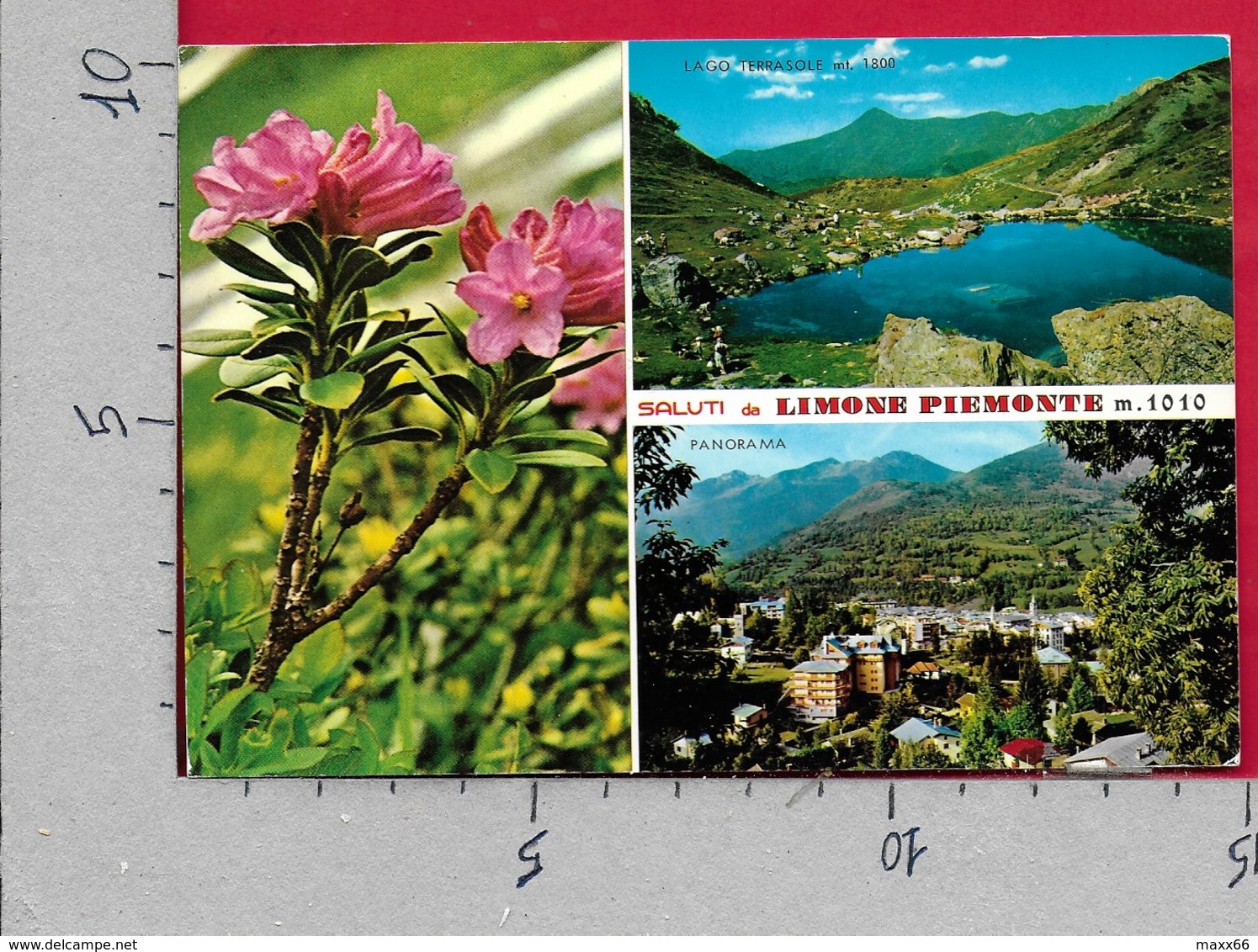 CARTOLINA VG ITALIA - Saluti Da LIMONE PIEMONTE (CN) - Vedutine Multivue - 10 X 15 - ANN. 1985 - Greetings From...