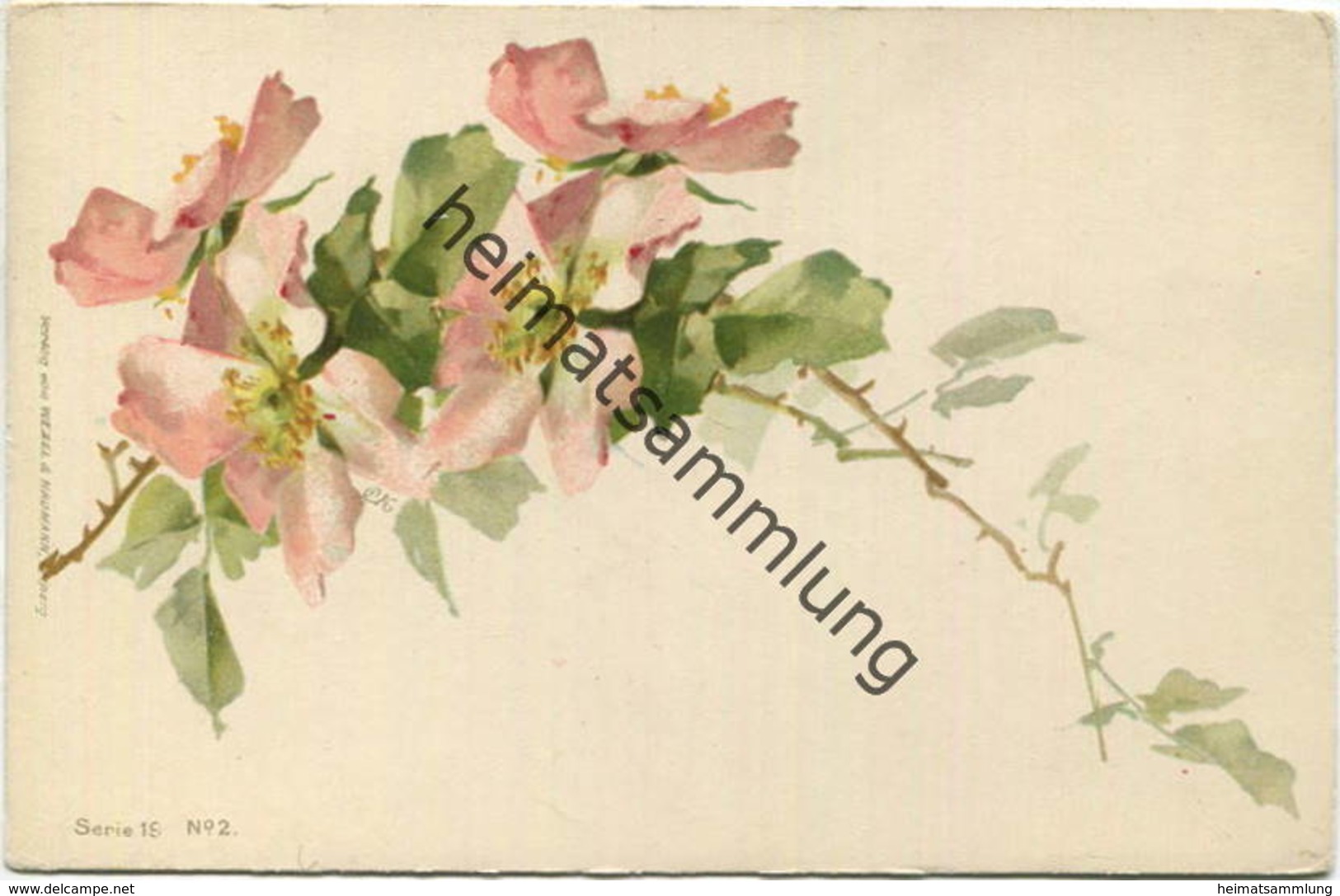 Catharina C. Klein ? - Blumen - Signiert C.K. - Verlag Wezel & Naumann Leipzig Serie 19 N°2 - Klein, Catharina