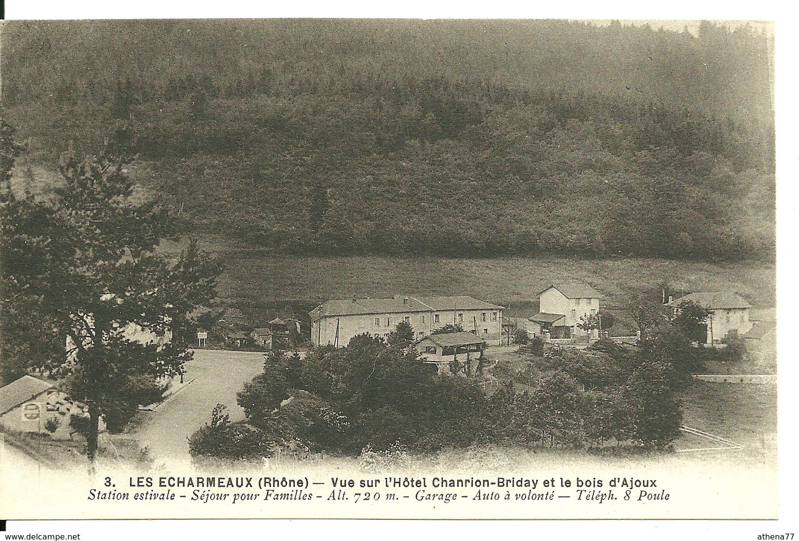 69 - LES ECHARMEAUX / VUE SUR L'HOTEL CHANRION BRIDAY ET LE BOIS D'AJOUX - Autres & Non Classés