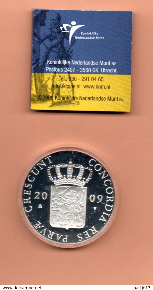 NEDERLAND DUKAAT LIMBURG 2009 ZILVER PROOF - 1980-2001 : Beatrix