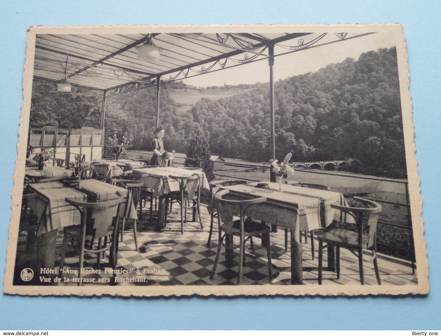 Hôtel " AUX ROCHES FLEURIES " à Frahan / Vue De La Terrasse Vers Rochehaut ( Thill ) Anno 19?? ( Zie Foto's ) ! - Bouillon