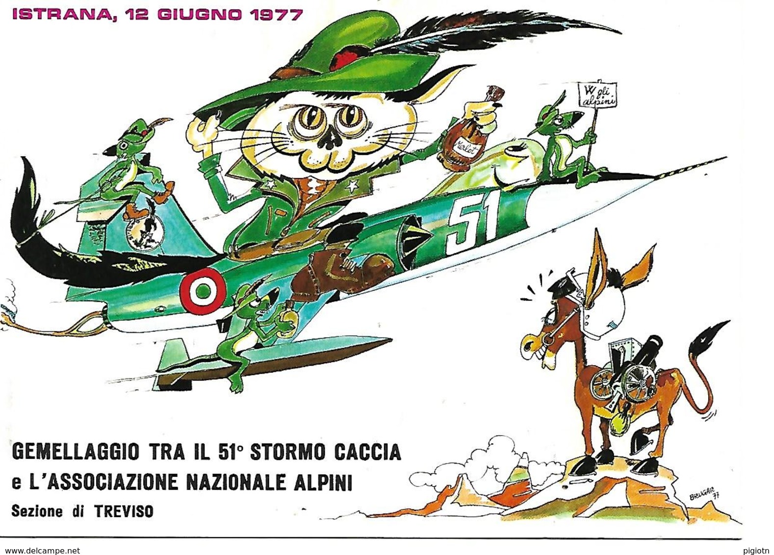 B020 - ALPINI - GEMELL. 51° STORMO CACCIA E L'ASS NAZ. ALPINI SEZIONE DI TREVISO - ISTRANA 12.06.1977 ANNULLI SPECIALI - Reggimenti