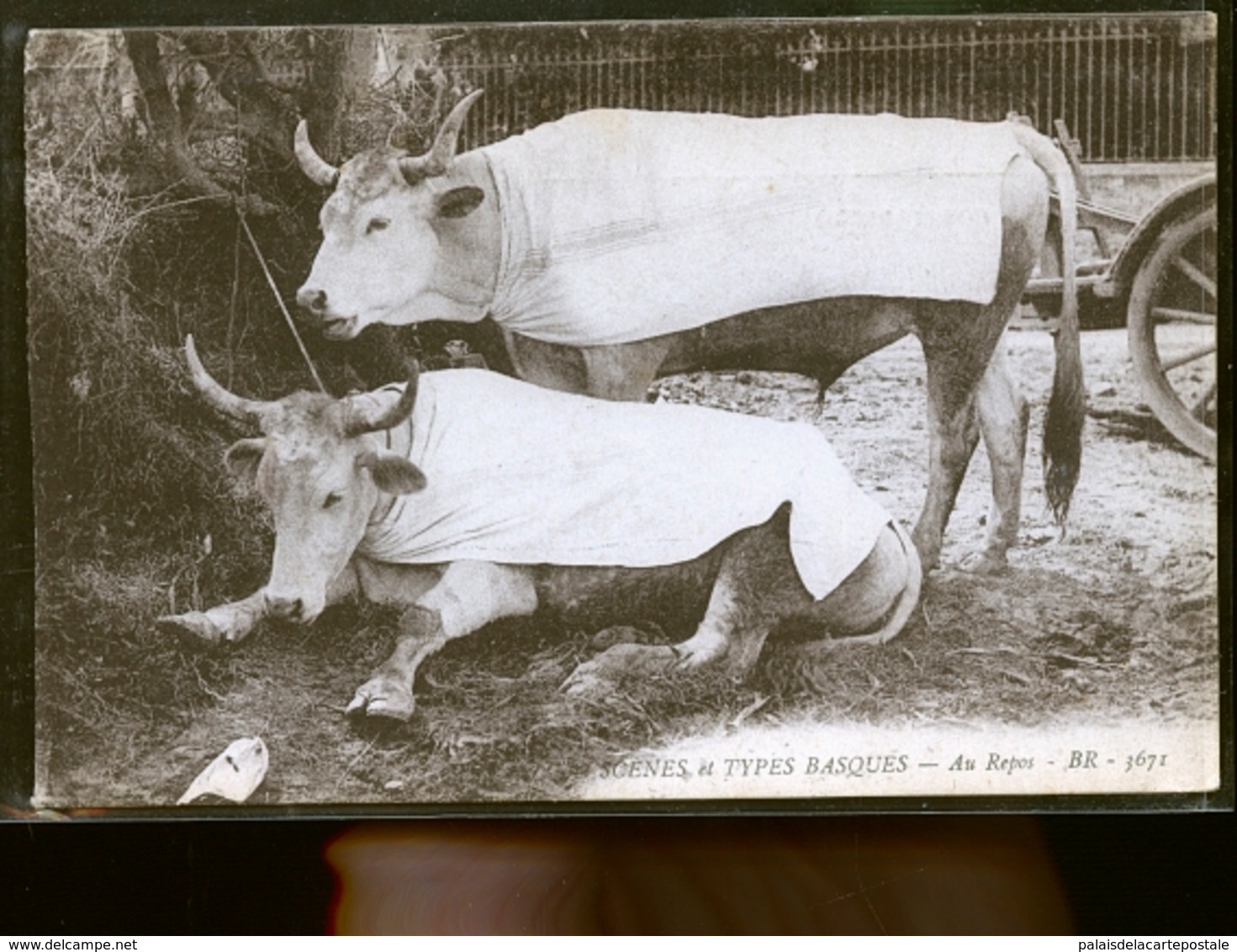 ATTELAGE BASQUE        JLM - Boerderijen