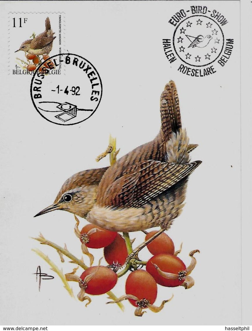Belgie - Belgique 2449 Op Kaart Van Belgisch Verbond Bescherming Vogels Met 1ste Dagstempel - 1985-.. Birds (Buzin)