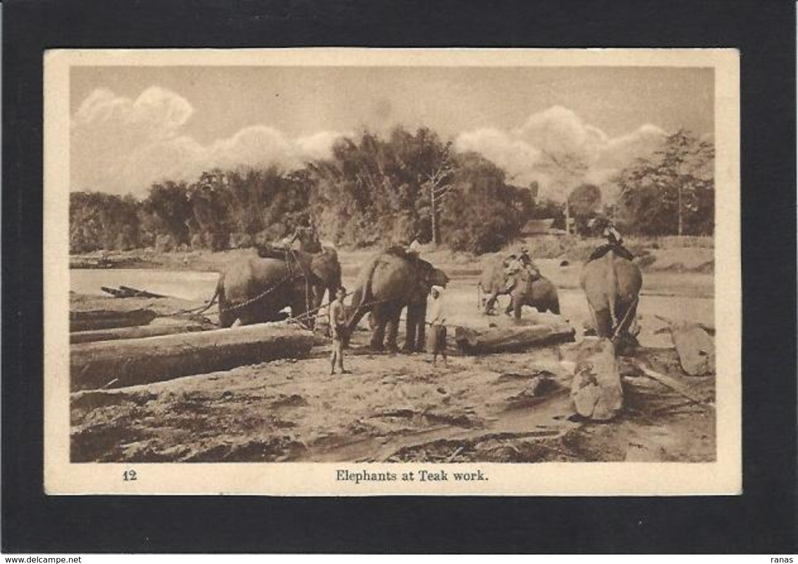 CPA SIAM Thaïlande Asie Non Circulé éléphant - Thaïland