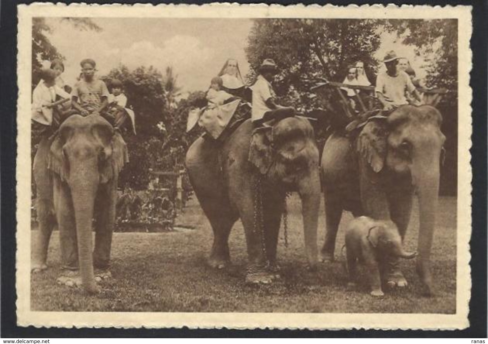 CPSM SIAM Thaïlande Asie Non Circulé éléphant - Thailand
